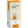GHEOS Srl CORDYCEPS 90 Cps GHEOS