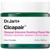 DR. JART DIV. ESTEE LAUDER SRL DR JART+ CICAPAIR SLEEPAIR INTENSIVE SOOTHING REPAIR MASK 75ML