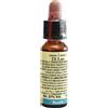 LABORATORIO ERBORISTICO DI LEO BEECH 10ML DI LEO