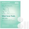APRICOT Scar Pad Mini scar scar away Pad in silicone 4 pz.