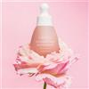 Urang Siero viso Pink Everlasting Ampoule con elicriso (35ml)