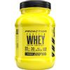 PROACTION Srl Protein Whey Cioccolato ProAction 900g