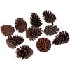 SZLIFE 10 Pezzi Pigne Naturali per Centrotavola Rustico Decorazioni per Matrimoni Artigianato Fai Da Te Oggetti di Scena Non Trattate Chimicamente Adatto a, a 6-8 cm
