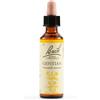 SCHWABE PHARMA ITALIA Srl GENTIAN BACH ORIG 20ML