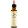 SCHWABE PHARMA ITALIA Srl OLIVE BACH ORIG 20ML
