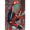 MARVEL COMICS Poster (118r) Spiderman Web Sling (61x91,5)
