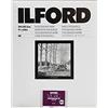 Ilford 1 x 50 MG RC DL 44M 24 x 30