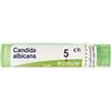 BOIRON SRL CANDIDA ALBICANS 5CH GR