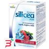 ANTON HUEBNER & CO.KG HUBNER ORIGINAL SILICEA PLUS FRUTTI DI BOSCO 15 BUSTINE DA 15 ML