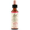SCHWABE PHARMA ITALIA Srl STAR OF BETHL ORIG 20ML