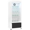 Exquisit CoolPro GKS180-GT-430D - Frigorifero per porta in vetro, 200 l con LED, 3 ripiani regolabili, colore: Bianco