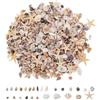 REUTLYEO 200 Pezzi Conchiglie Decorative, 0.2cm-1.5cm
