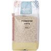 Wholefood Earth, Porridge di Avena Biologico 3 kg, Senza OGM, Vegano, Ricco di Fibre