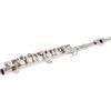 XUMIUZIY Elegante Kit di Strumenti in Cupronichel con Chiave C Placcato Argento Piccolo Ottavino per Uso Didattico Musicale, con Panno per la Pulizia e