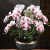 Generic Fiori artificiali Phalaenopsis - grandi orchidee finte in vaso per casa, matrimonio, decorazione per feste, aspetto naturale, composizione floreale realistica