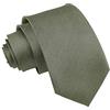 DQT Men's Plain Shantung Wedding Formal Slim Tie