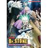DVD DR. STONE stagione 1-4 vol.1-94 FINE + speciale inglese doppiato tutte le...