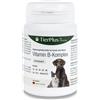 EXVital Tierplus complesso vitaminico B per cani e gatti - B1, B2, B3, B5, B6, B9, B12, K3, 120 compresse