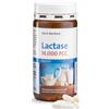 Kräuterhaus Sanct Bernhard Capsule di enzima lattasi Sanct Bernhard 14000 FCC - 150 capsule