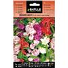Semillas Batlle Semi di Fiori - Miramelindi Fiore Camelia - Balsamina - Batlle
