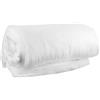 RANJIMA Tessuto Non Tessuto Ovatta Imbottitura Voluminosa, 150x300cm 100% Poliestere Lavabile Non Termoadesivo per Trapunte, Biancheria Letto, Cuscini e Coperte Fai da Te Puro Volume