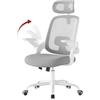 WOLTU Sedia Ufficio Ergonomica, Poltrona Scrivania Girevole, Grigio Chiaro