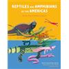 POST WAVE Reptiles and Amphibians of the Americas: Reptiles and Amphibians of the Americas
