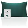 RUIPTSKE Natural Silk Federa, ipoallergenico, 22momme, 100% Seta, 600 Filati, con a Scomparsa Cerniera (dark green, 50x75cm)