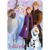 anemone Plaid in pile Frozen (Frozen) ufficiale 100 x 140 cm - 100% microfibra morbida e calda (A)