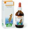 ALTA NATURA GEMMAVIS MIRTILLO ROSSO GEMMOD - ALTA NATURA - 939983779