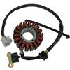 SGR STATORE KYMCO XCITING 250 05/06 CARB.