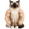AFGQIANG Braccia muscolari per gatti, comoda spalla per cosplay felini, giocattolo leggero, accessorio per animali domestici (pelle)