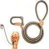 YTAXYZWR Guinzaglio Retriever per Cani 180 cm x 10 mm, Guinzaglio a Strozzo Regolabile con Collare Integrato, Nylon Resistente con Fibbia in Metallo, Addestramento Passeggio Jogging, Colore Cachi