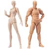 AXXHOTHO Action figure di manichino artista, set maschile e femminile, figure articolate per disegnare, schizzi e dipingere (colore grigio)