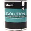 rio verde Renner Evolution Colore - 09 ALLORO