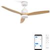 CREATE / WINDSTYLANCE DC/Ventilatore da soffitto con WIFI con luce, motore DC bianco, con pale in legno naturale/Silenzioso, 2 altezze, timer