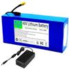 WSDAV Batteria di Ricambio al Litio da 48 V con Caricabatterie