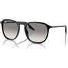 Ray-Ban RB2203 - 901/32 - Ray-Ban 52