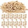 TOYZFRIENDY Pietre Decorative Naturali 3-5mm 50g per Paesaggi Ferroviari e Micropaesaggi, Materiale Lapideo per Decorazioni da Giardino e Acquario, Accessori per Diorama e Tavoli da Sabbia