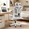 HDHNBA Sedia da Ufficio Ergonomica con Supporto Lombare Adattivo, Sedia da Scrivania in a Rete con Braccioli Ribaltabili e Schienale Reclinabile, Sedia per Computer Alta, Grigio