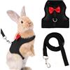 FIMJEP 1 Pettorina con Guinzaglio per Coniglio Nero, Fiocco Rosso, Taglia M (Torace 40 cm, Dorso 12 cm) - Rete Traspirante per Passeggiate all'Aperto, Adatta per Gatti e Cani Piccoli