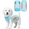 SDFWGG Gilet Rinfrescante per Cani Maglia a Rete Animali Domestici Gilet Refrigerante Maglia Refrigerante Cane Giacca di Raffreddamento per Cani Cappotto Rinfrescante Cane (Blu Ghiaccio XL)