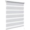 WOLTU Tenda a Rullo Giorno e Notte Senza Foratura 50x150 cm, Grigio