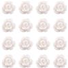 PH PandaHall PandaHall - 20 perline in resina a forma di rosa bianca opaca, perline spaziatrici a fiore, perline sfuse, cabochon piatti con retro a fiore, decorazioni con foro da 1mm per scrapbooking, creazione di