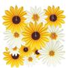 BestoFun 12 ventagli di carta a forma di girasole, colore giallo e beige, da appendere, per compleanni, matrimoni, baby shower, feste estive, decorazione da tavolo per feste