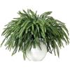 Laelfe 10 Mazzi Rami Artificiali di Pino Norfolk, Steli di Pino Cedro Natalizio Realistici, Decorazioni Verdi Finte per il Natale, Ghirlande, Decorazioni per la Casa (Pendono Naturalmente)