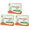 Psyllogel BUYFARMA PROMO PACK - 3X Psyllogel Fibra di Psyllium Pura al 99% Gusto Arance Rosse - Favorisce la Regolarità Intestinale - 60 Bustine + OMAGGIO A SORPRESA