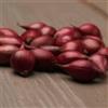 DUTCH BULBS EXCLUSIVE PLANTS FROM HOLLAN Pianta bulbi da orto Red Baron - 500 gr Semi di Cipolla