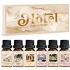 SALKING Oli Essenziali Albergo per Diffusori 6x10ml, Set di Olio Essenziale Puri per Aromaterapia e Massaggi - L'Hotel, Santal, My Way, Sogno ad occhi aperti, Desideri segreti, Tè bianco