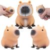 Henjunu Capybara Fidget Giocattolo,3Pcs Giocattoli Antistress Di Capibara